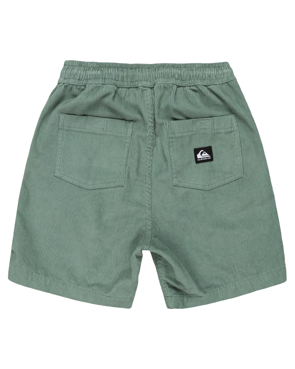 Boys Taxer Cord Walkshorts in Chinois Green