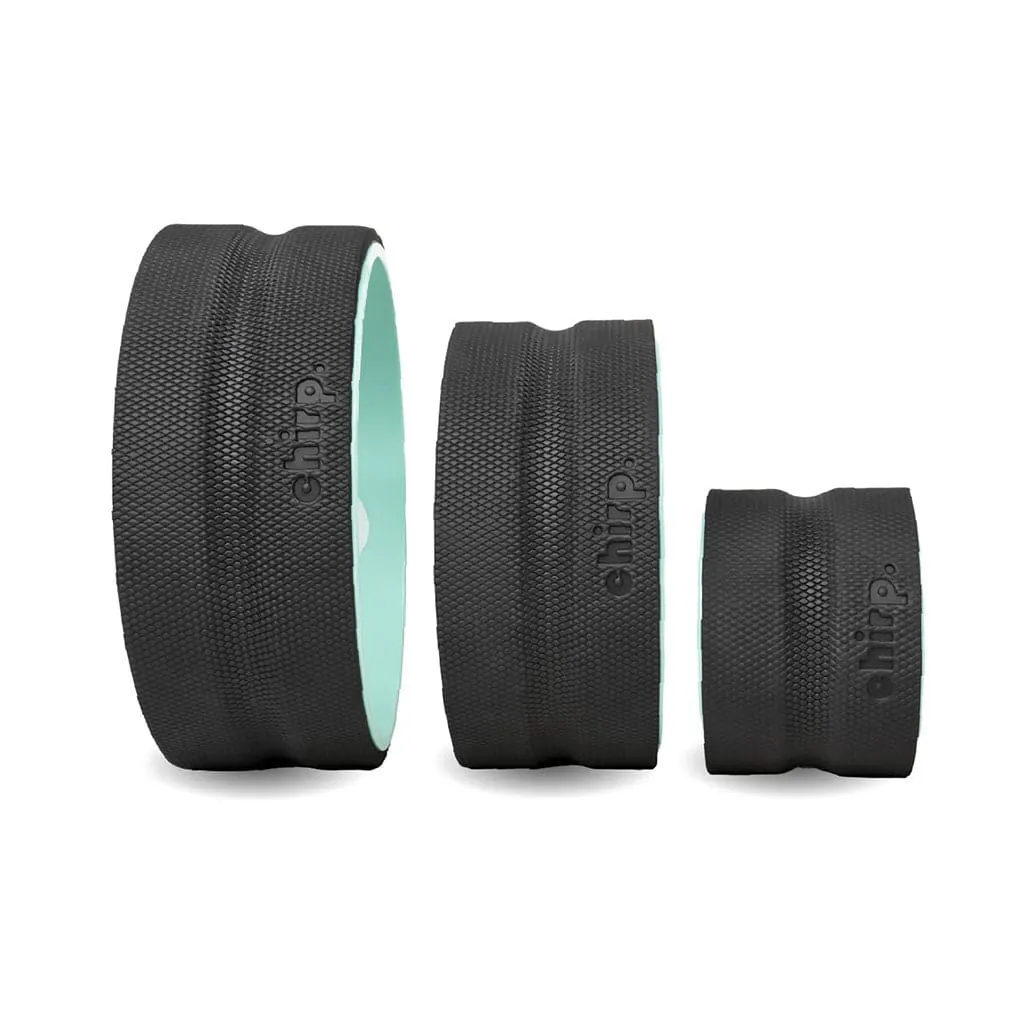 Chirp Wheel  3 Pack