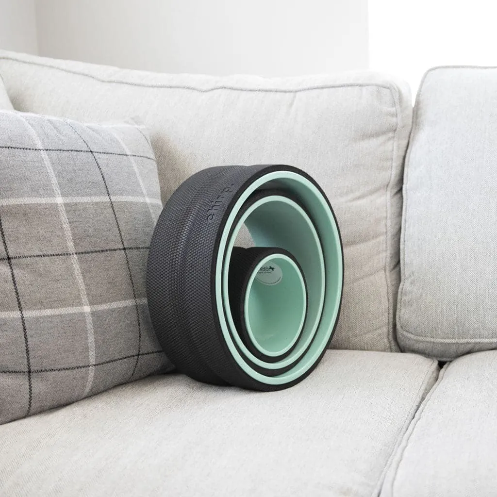 Chirp Wheel  3 Pack