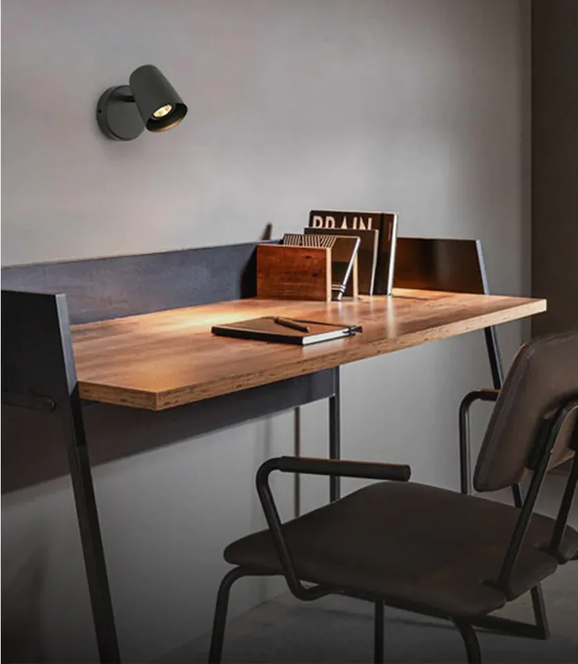 Husk Pro LED Wall Light